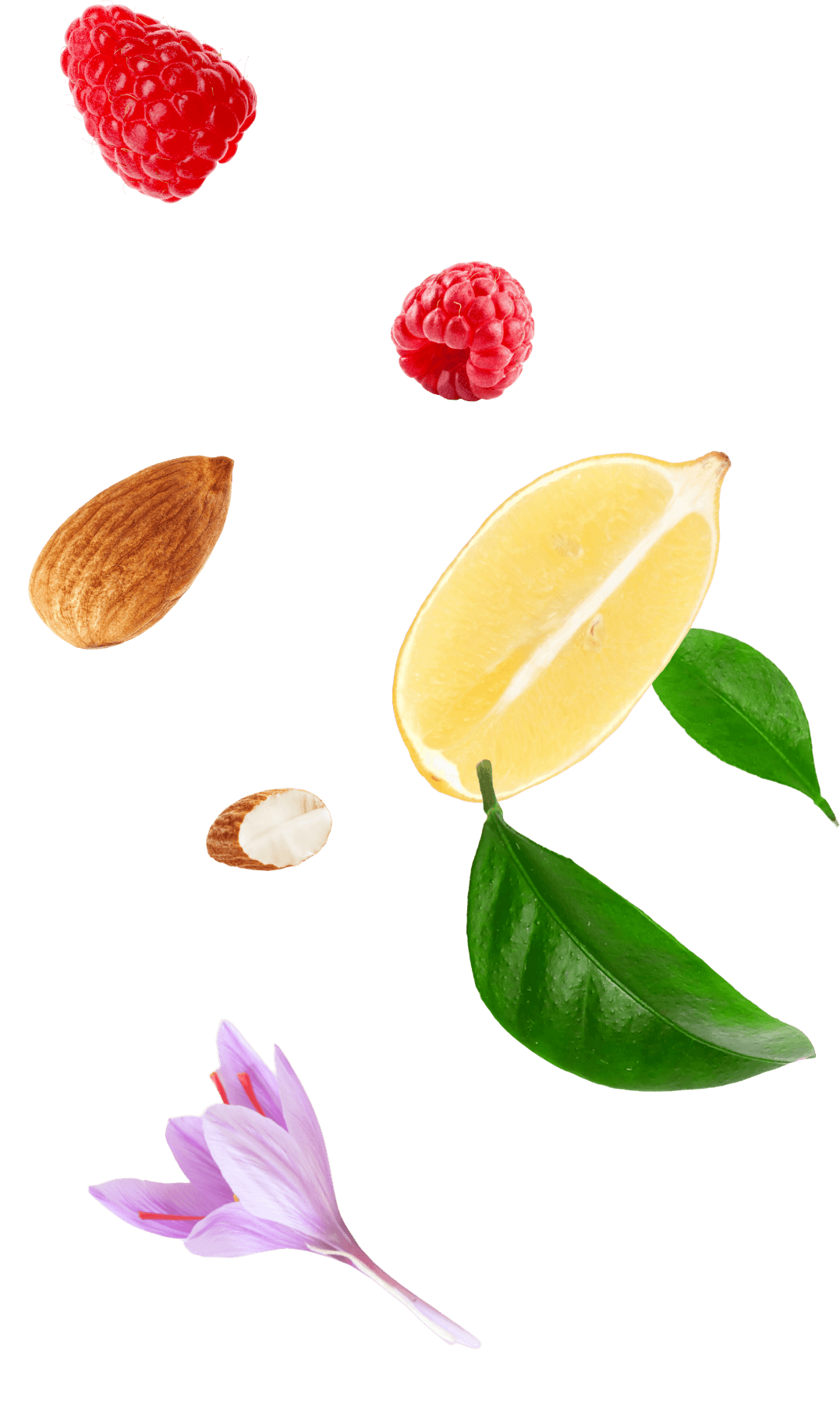 Ingredienti freschi per gelato